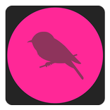 TaoMix - Focus, sleep, relax