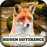 Hidden Difference The Fox Says biểu tượng