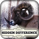 Hidden Difference - Winterland APK