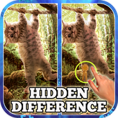 Hidden Difference: Cats Island