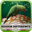 ”Hidden Difference - Irish Luck