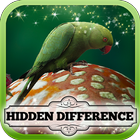 Hidden Difference - Irish Luck icône