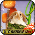 Hidden Object - Bunny Trail icône