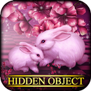 Hidden Object - Sweetheart APK