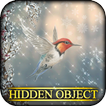 Hidden Object - Spring Thaw