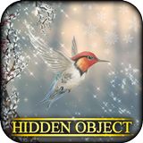 Hidden Object - Spring Thaw icono