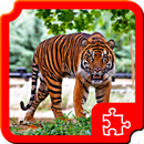 Animals Puzzles APK