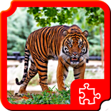 Animals Puzzles