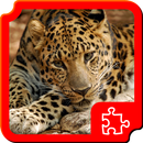 Big cats Puzzles APK