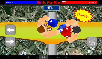 Birds Eye Boxing (Premium) Affiche