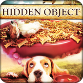 Hidden Object - Animal Dreams
