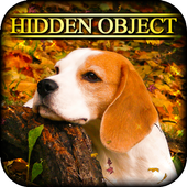 Hidden Object - Autumn Colors