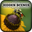Hidden Scenes - My Little Bees