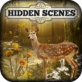 Hidden Scenes - Autumn Harvest