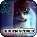 Hidden Scenes - Animal Friends APK