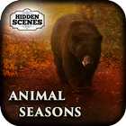 Hidden Scenes - Animal Seasons icône