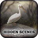 Hidden Scenes - April Showers APK