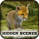 Hidden Scenes - Cute Critters APK