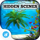 APK Hidden Scenes California Dream