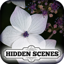 Hidden Scenes - Country Garden APK