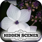 Hidden Scenes - Country Garden آئیکن