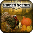Hidden Scenes - Happy Harvest APK