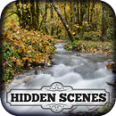 Hidden Scenes - Harvest Time APK