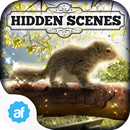 Hidden Scenes - Spring Babies APK