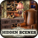Hidden Scenes Spring Cleaning icono