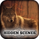 Hidden Scenes - Free Beautiful Wolves Puzzle Game APK