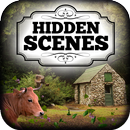 Hidden Scenes - Country Living APK