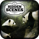 Hidden Scenes: Into the Wild APK