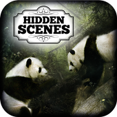 Hidden Scenes: Into the Wild
