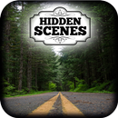 Hidden Scenes - Summertime APK