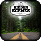 Hidden Scenes - Summertime icône
