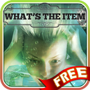 What's the Item? -Lucid Dreams APK