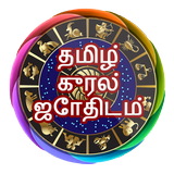 Tamil Voice Astrology icône