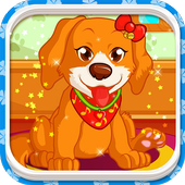 Dogs & Puppies Grooming Salon