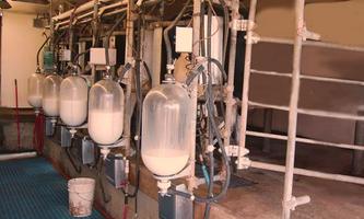 Milk Factory Escape ảnh chụp màn hình 1