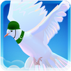 Spy Pigeon-APK