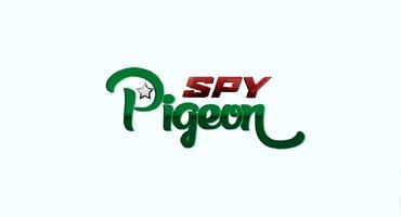 Spy Pigeon Affiche