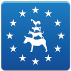 ERDF icon