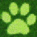 Animal Sports Sound Board APK