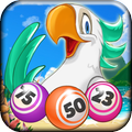 Fringo Bingo & Slots Together