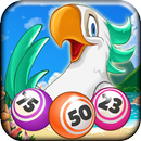 Fringo Bingo & Slots Together aplikacja