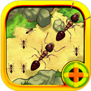 APK Snake Ant War Fighting WWE