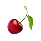Cherry Chase icône