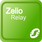 Zelio Relay icône
