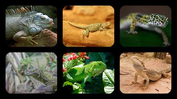 Lizard Jigsaw Puzzles 포스터