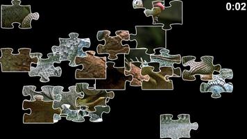 Lizard Jigsaw Puzzles 截图 1